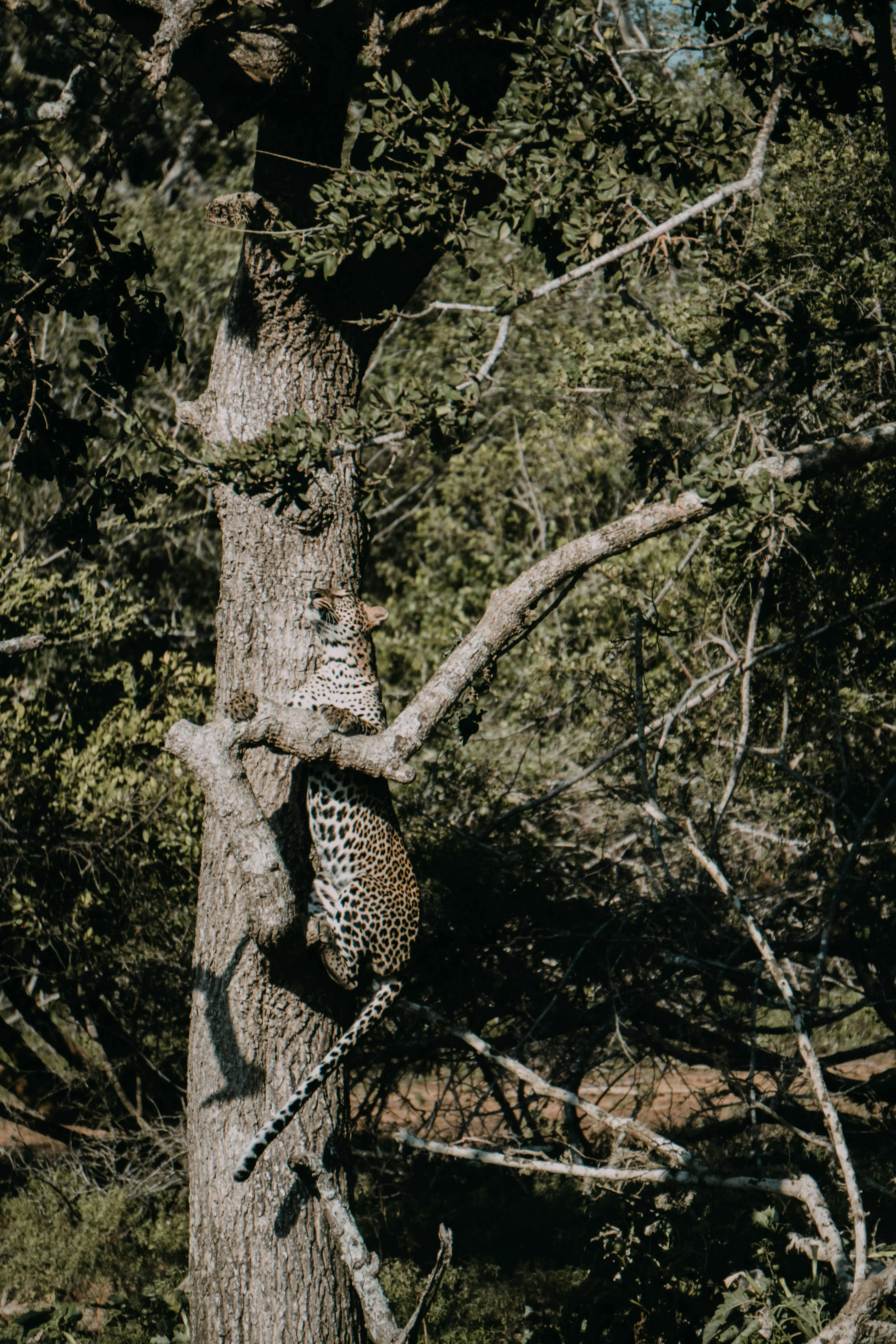 Nature & Wildlife